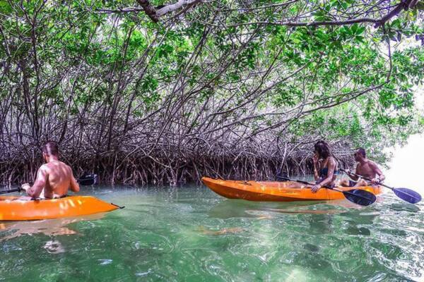 Mangrove Bonaire Kajak Tour