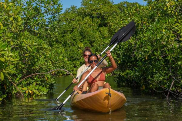 Mangrove Kajak Center
